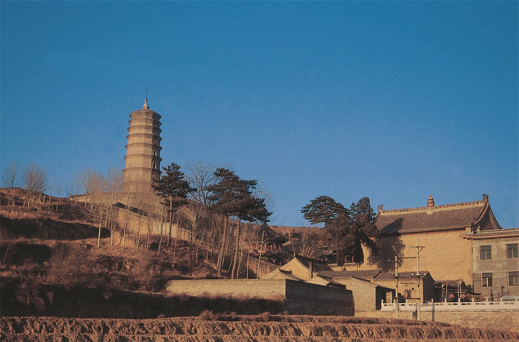 尊胜寺外景