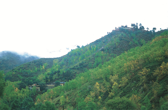 黛螺顶
