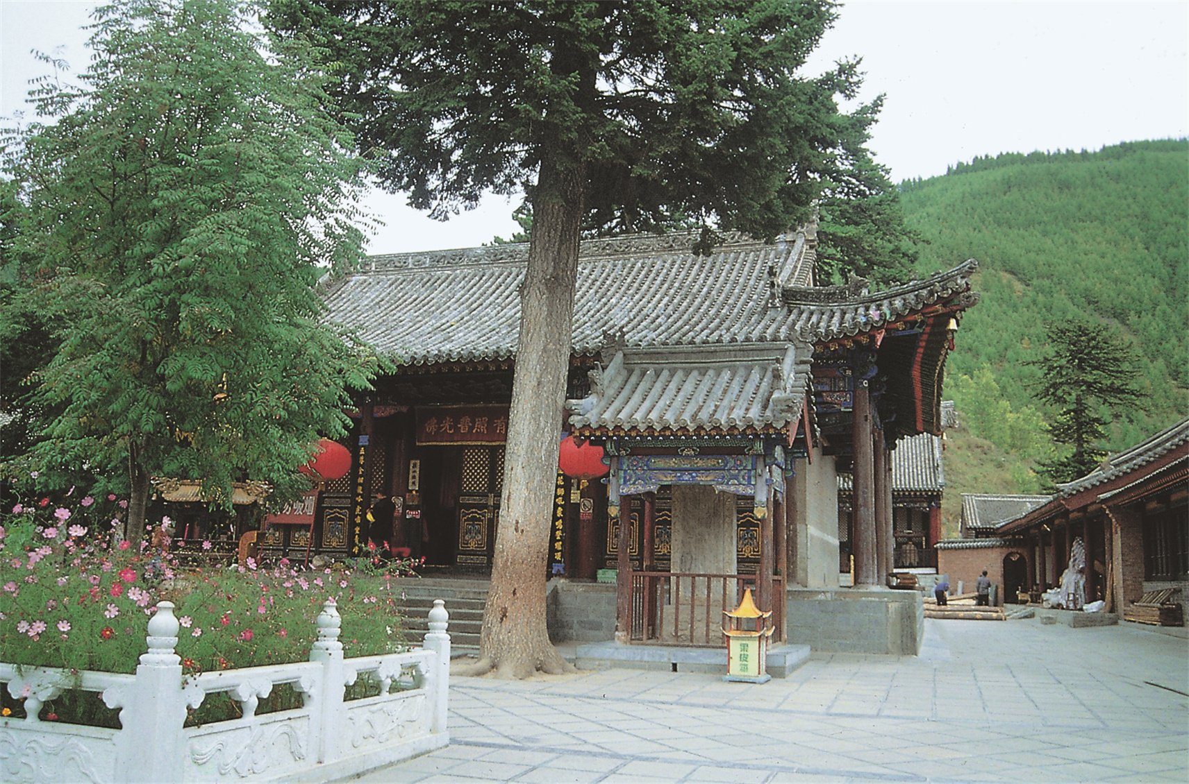 黛螺顶