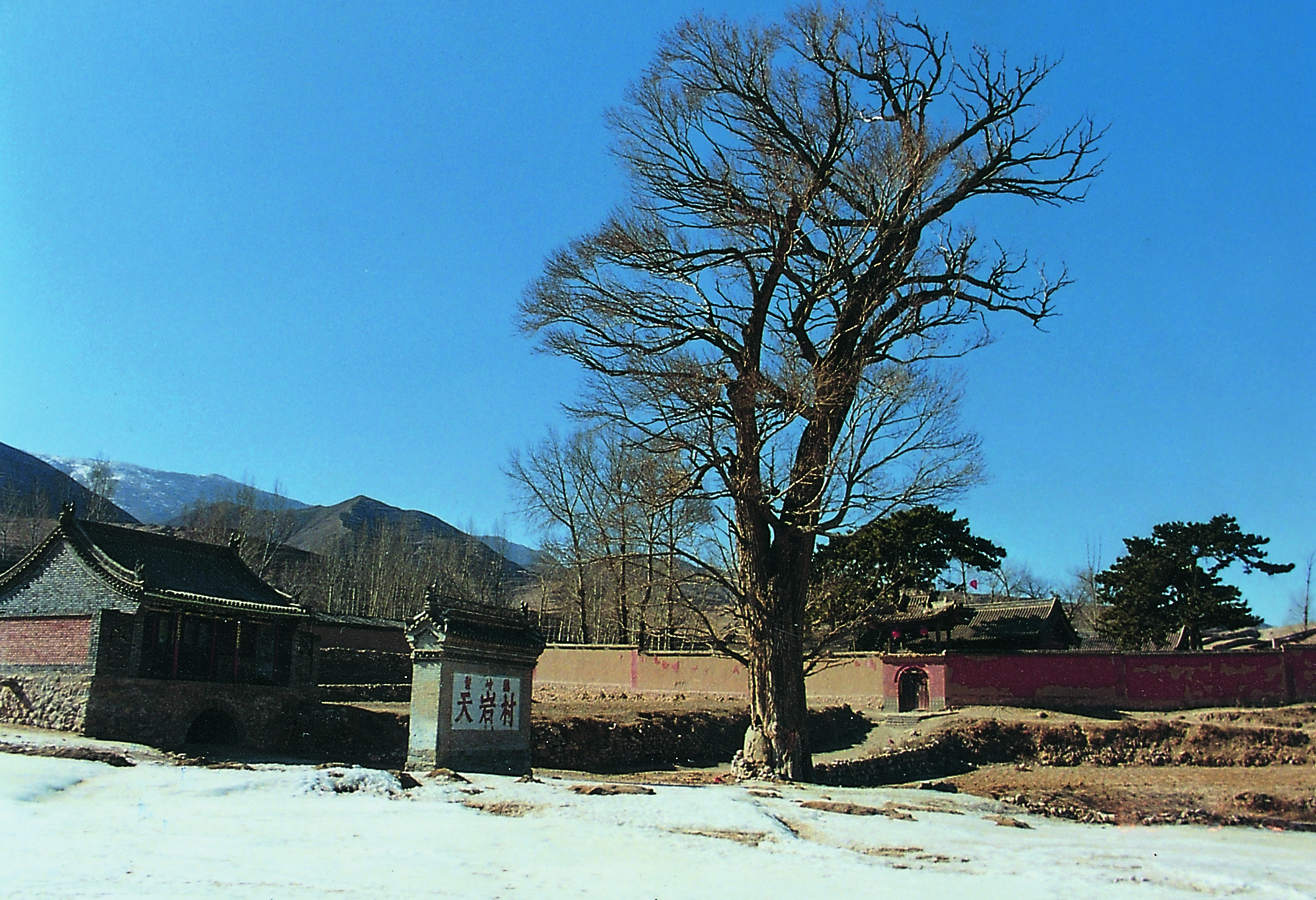岩山寺