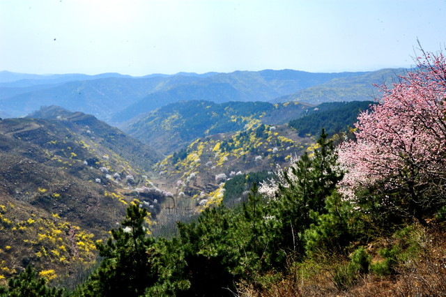 发鸠山