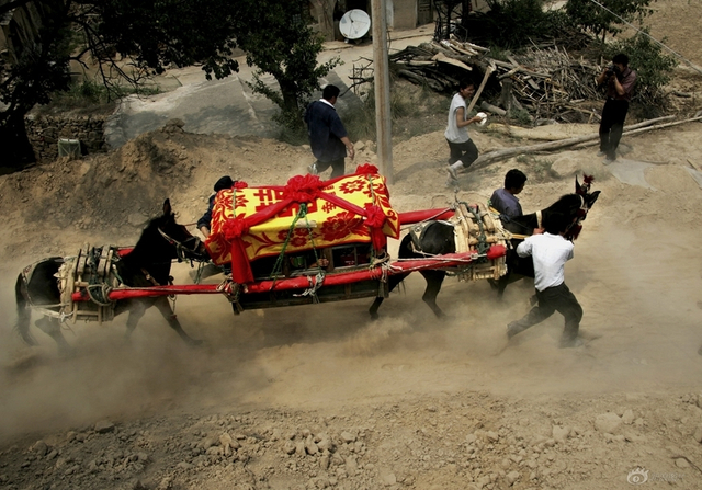 平鲁骡驮轿（平鲁区）