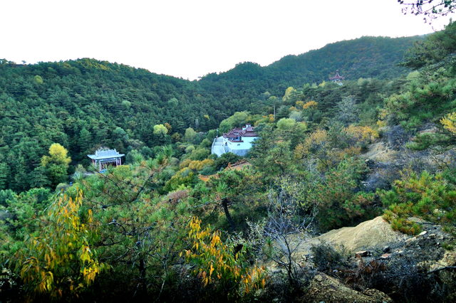 云龙山