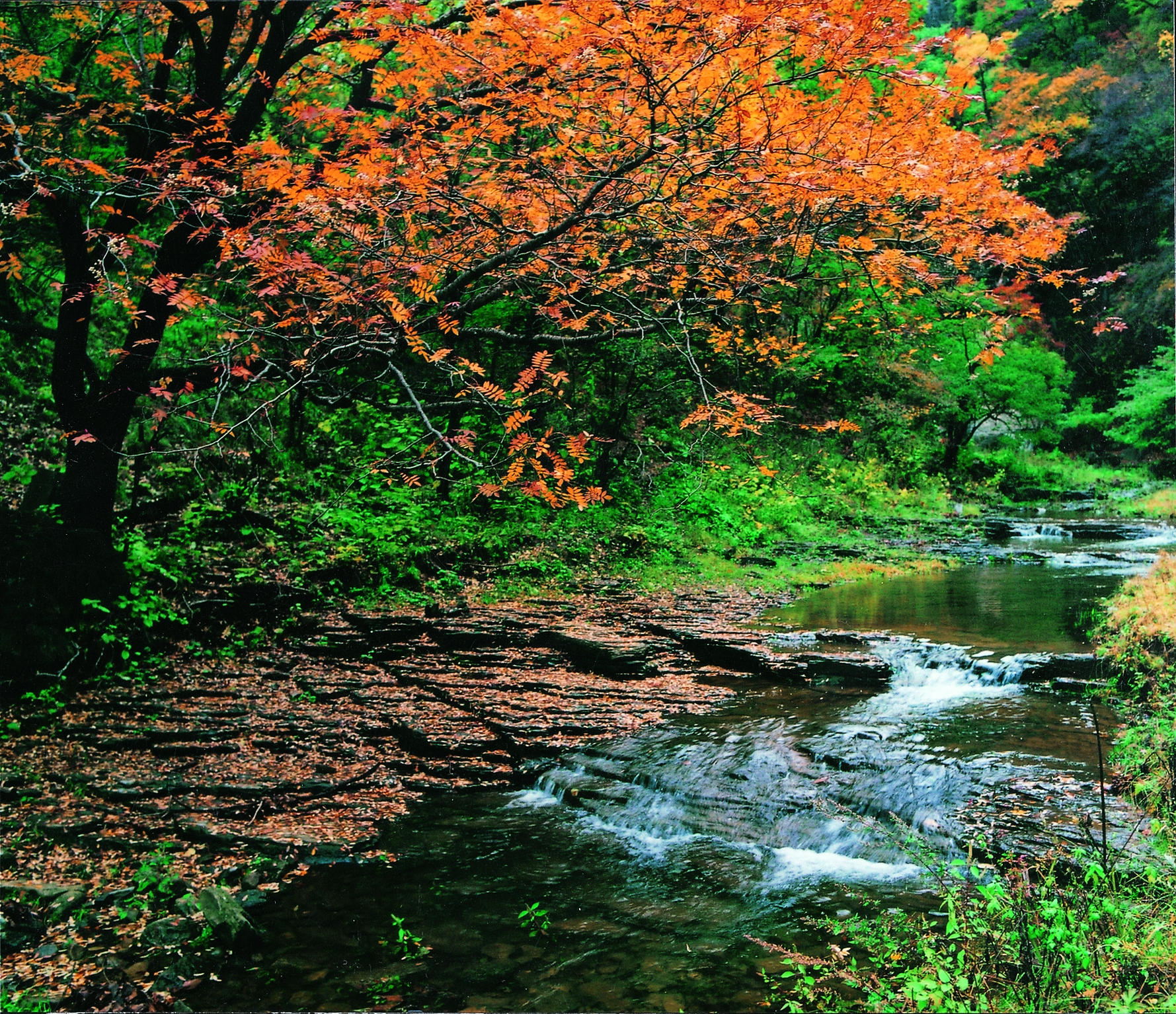 关帝山