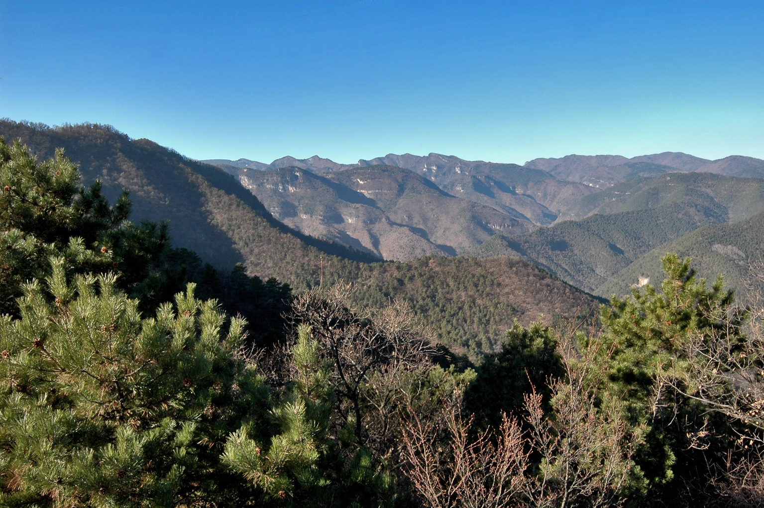 历山舜王坪