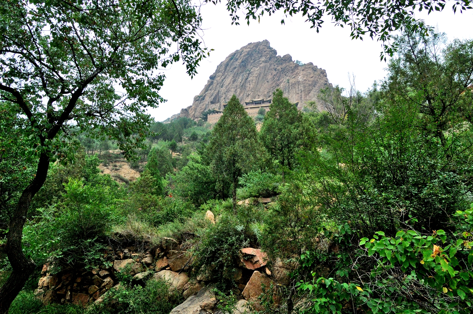 采凉山