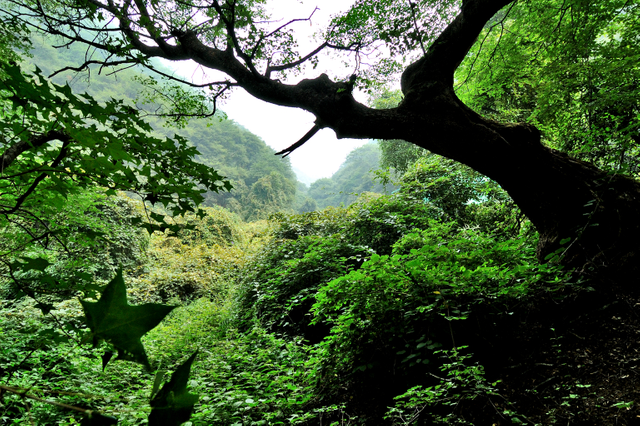 绵山
