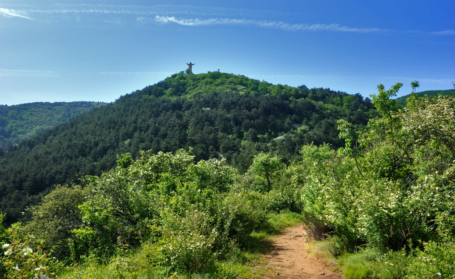 坂泉山