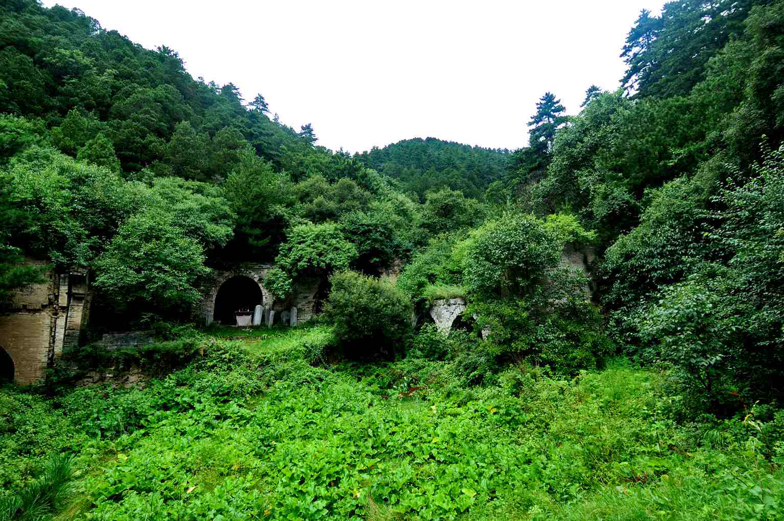 自然保护区