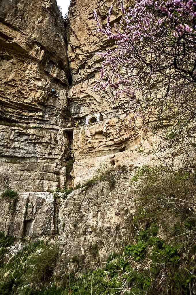 秘密寺