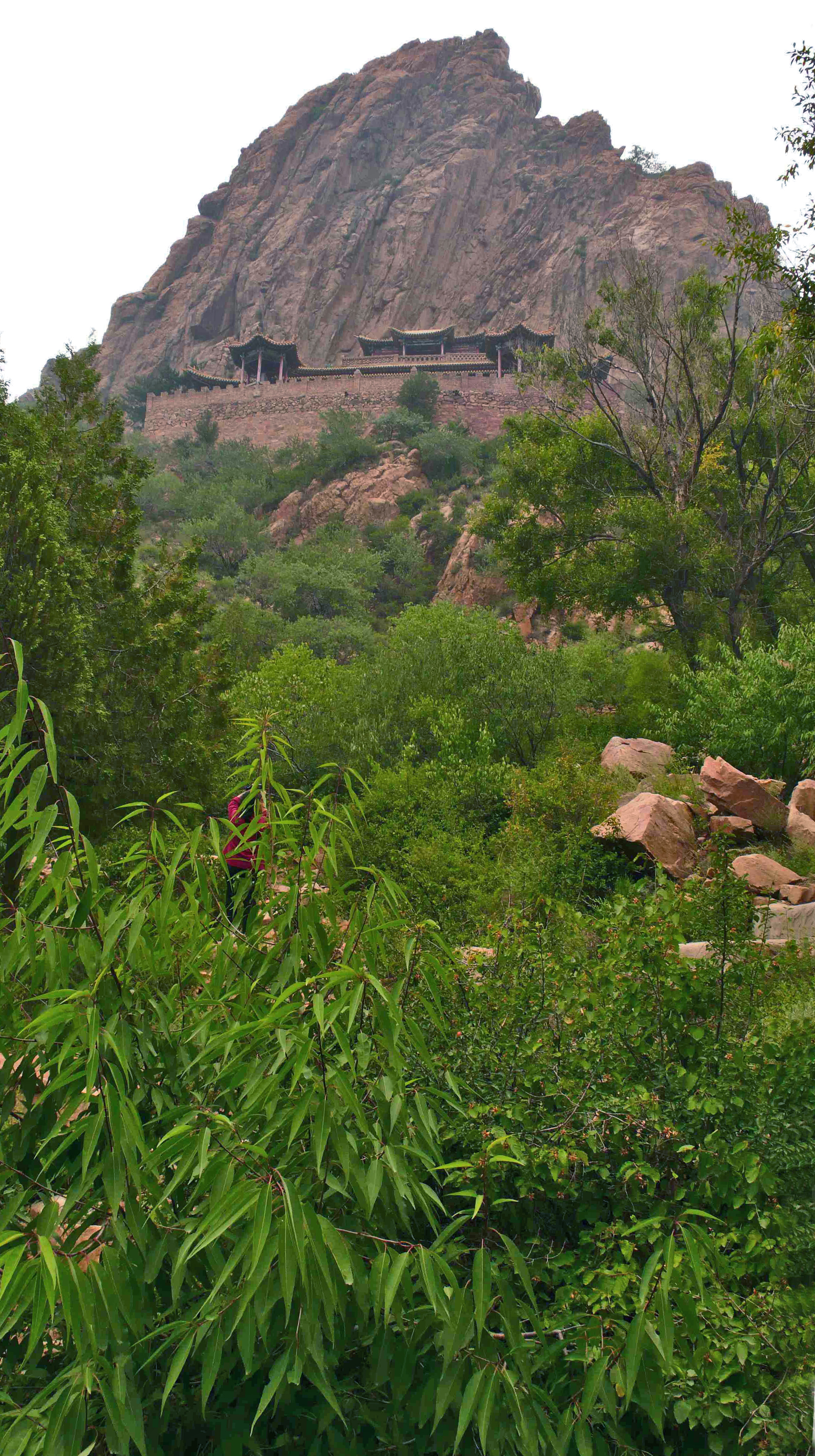 采凉山
